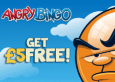 Angry Bingo