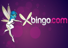 XBingo Bingo